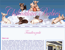 Tablet Screenshot of chihuahua-babies.at